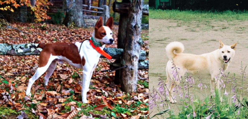 Pungsan Dog vs Mountain Feist - Breed Comparison
