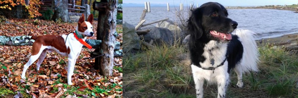 Stabyhoun vs Mountain Feist - Breed Comparison