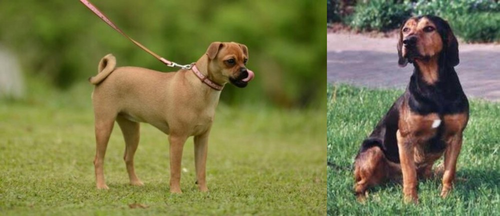 Tyrolean Hound vs Muggin - Breed Comparison