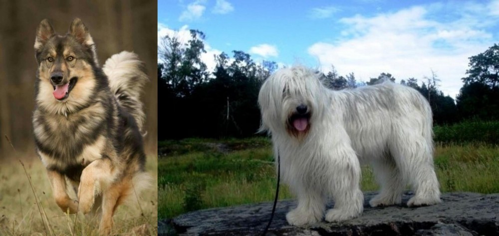 South Russian Ovcharka vs Native American Indian Dog - Breed Comparison