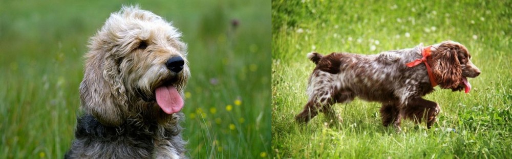Russian Spaniel vs Otterhound - Breed Comparison