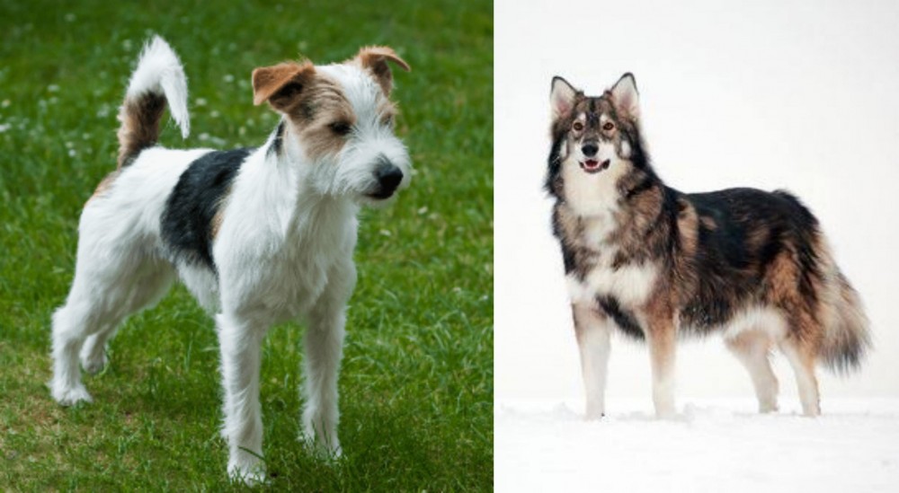Utonagan vs Parson Russell Terrier - Breed Comparison