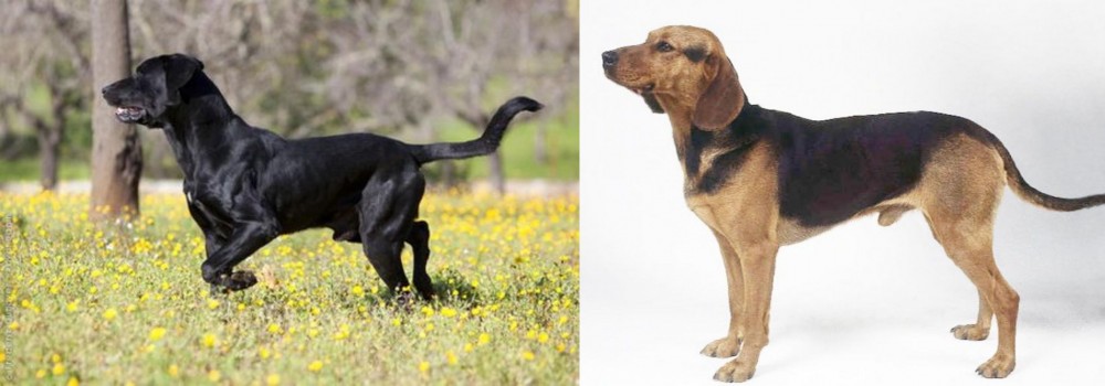 Serbian Hound vs Perro de Pastor Mallorquin - Breed Comparison