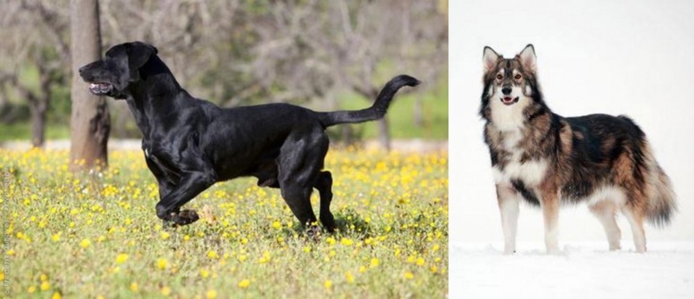 Utonagan vs Perro de Pastor Mallorquin - Breed Comparison