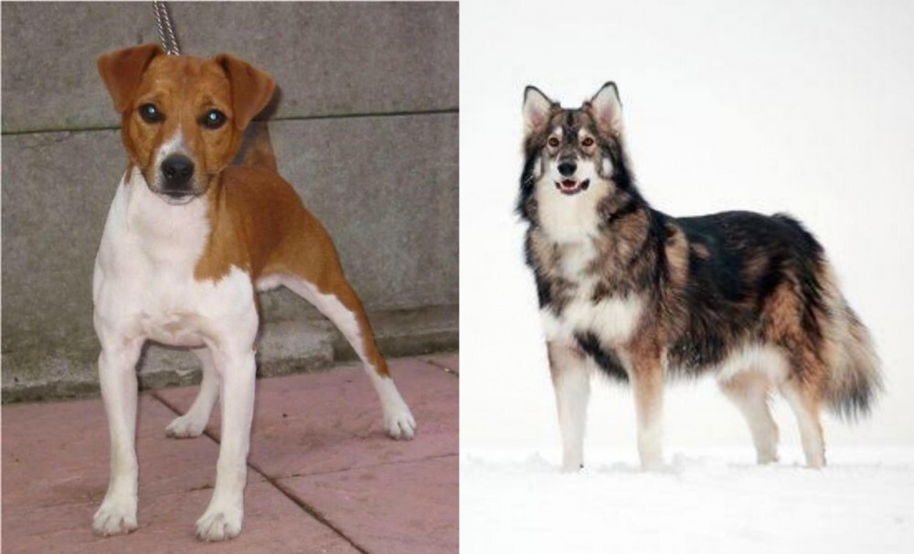 Utonagan vs Plummer Terrier - Breed Comparison