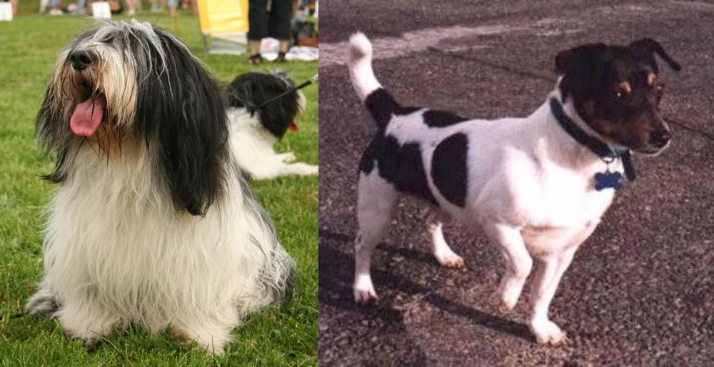 Teddy Roosevelt Terrier vs Polish Lowland Sheepdog - Breed Comparison