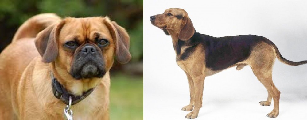 Serbian Hound vs Pugalier - Breed Comparison