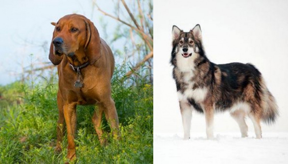 Utonagan vs Redbone Coonhound - Breed Comparison