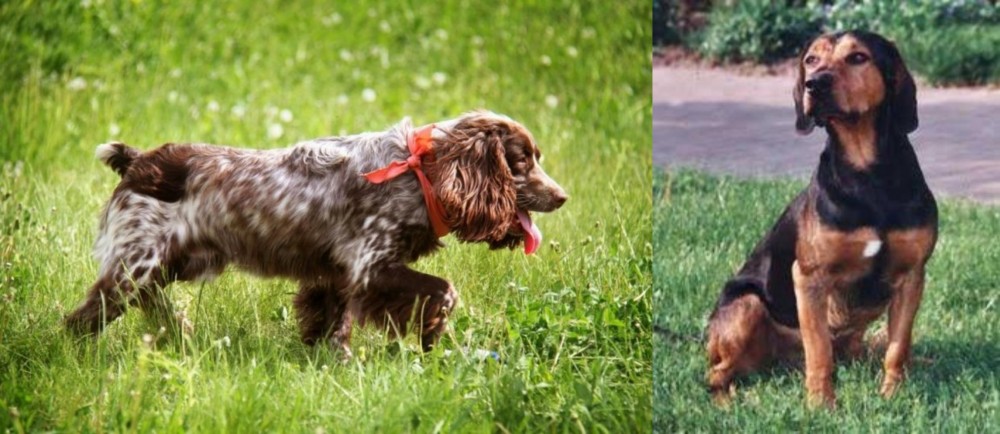 Tyrolean Hound vs Russian Spaniel - Breed Comparison