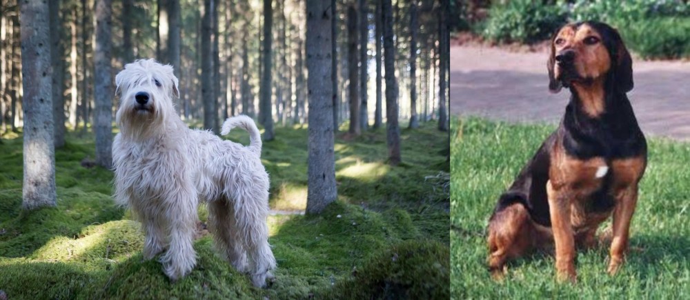 Tyrolean Hound vs Soft-Coated Wheaten Terrier - Breed Comparison