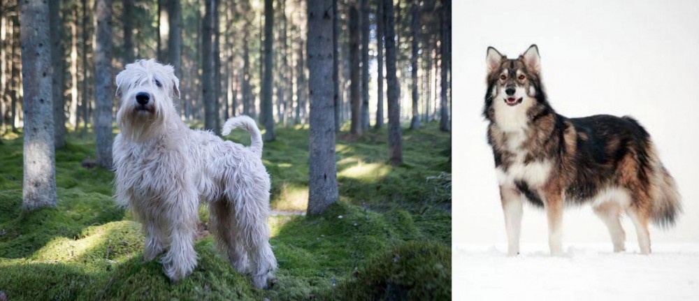 Utonagan vs Soft-Coated Wheaten Terrier - Breed Comparison
