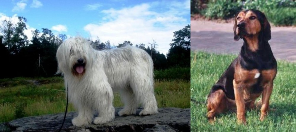 Tyrolean Hound vs South Russian Ovcharka - Breed Comparison