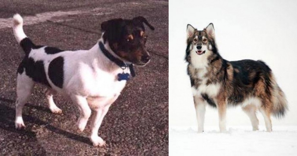 Utonagan vs Teddy Roosevelt Terrier - Breed Comparison