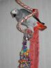 Zoh African Grey Parrots Available