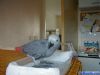 vivemo friendly african grey parrots for sale