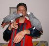 Two Grey Parrots for Adoption .contact us for more info (xxx)-xxx-xxxx