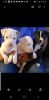 Pitbull puppies looking for good home
