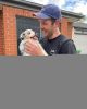 Cute Trained Australian Shepherd Puppy