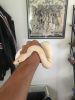 Beautiful Female Lavender Ball Python for sale