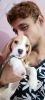 I want to sell my 2 months beagle