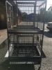 Bird Double Cage Stainless Steel