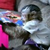 Available capuchin monkeys