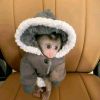 Amazing capuchin monkey for sale