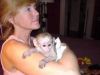 15 Weeks Old Usda Capuchin Monkey