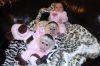 Baby Capuchin And Finger Monkeys For Adoption