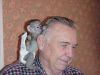 Capuchin Monkeys Available For Adoption szfc