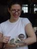Cute Capuchin monkeys to all pets love