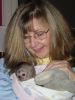 Home Raised Capuchin Monkeys Available