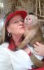 Capuchin monkeys for re-homing