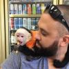 cute capuchin monkey