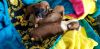 4 Superstar Chihuahua puppies have been born!
