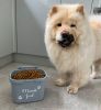 Chow chows puppy