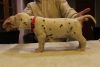Dalmation Puppies for Sale