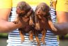 DOBERMAN puppies available in Chennai contact xxx4 615 589