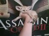 Bottle Fed Baby Fennec Foxes For Rehoming