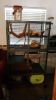 Ferrets (4 Available) W/ Cage & Accessories