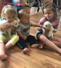 Amazing AKC Goldendoodle puppies