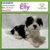 Say Hello To: Elly