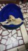 Want to sell my labrador who is 45 days old healthy puppy