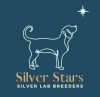 Missouri Silver Star Labs