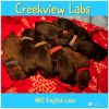 Creekview labs
