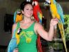Hyacinth Macaw Parrots for adoption