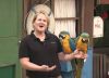 Blue & Gold Macaw Parrots