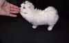 Lovely Teacup Maltese Puppies for sale