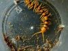 Giant Indian Tiger Centipede Babies(plings)