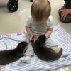 Asian small clawed otters pet Text or call xxx-xxx-xxxx